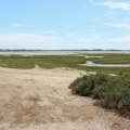 The salt marshes : Guérande