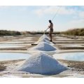 Les marais salants de Guérande près deu camping Léveno 4 étoiles