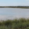 Sur la route des marais salants