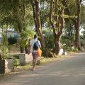 Les allées du camping Léveno au sud du golf du Morbihan