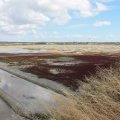 Guérande : une Terre de Sel