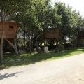 Vue sur les cabanes perchées dans les arbres