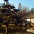Nantes: der Garten der Pflanzen
