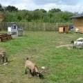 Trouvez une ferme dans les marais salants de Guérande au sein du camping Léveno