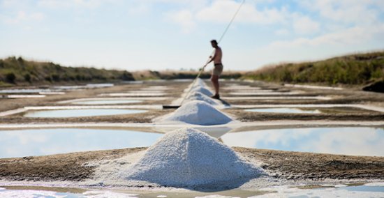 Les marais salants de Guérande près deu camping Léveno 4 étoiles {JPEG}